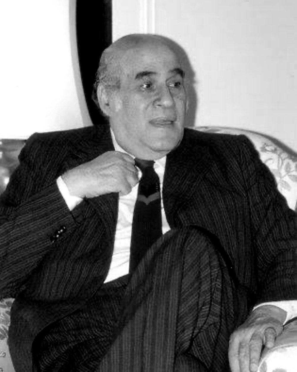 مصطفى أمين